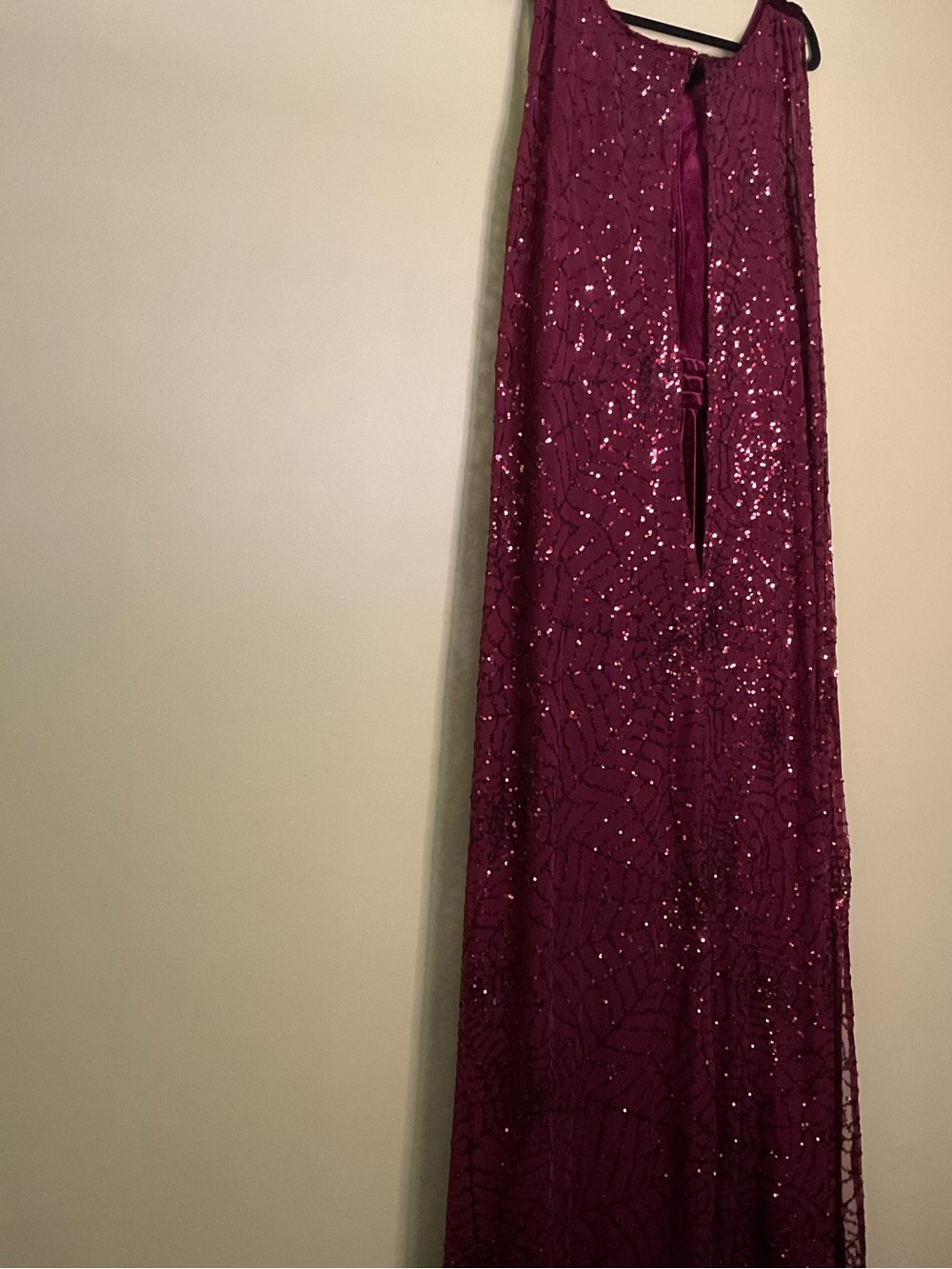 Disney Hocus Pocus Plus Size Burgundy Velvet Costume - Picture 4 of 7